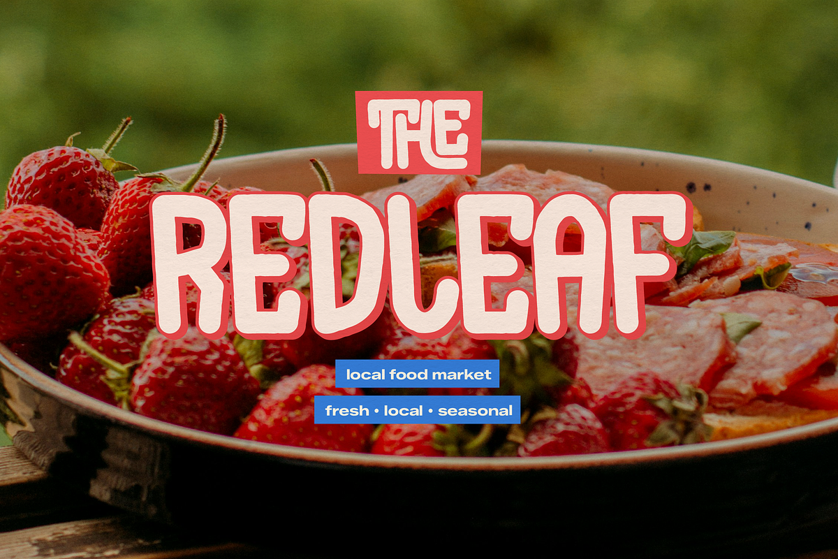 Mega Champs | Playful Display, a Handwritten Font by gracetype_studio (Photo 4 of 12)