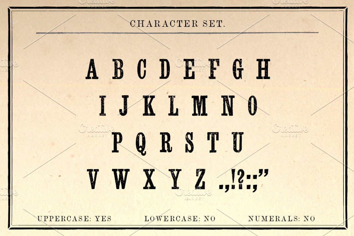 Rebellion Record Display Font, a Serif Font by New Blazing Star Press (Photo 2 of 3)