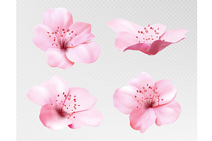 Botanical nature illustrations, an Object Illustration by art PVP - market