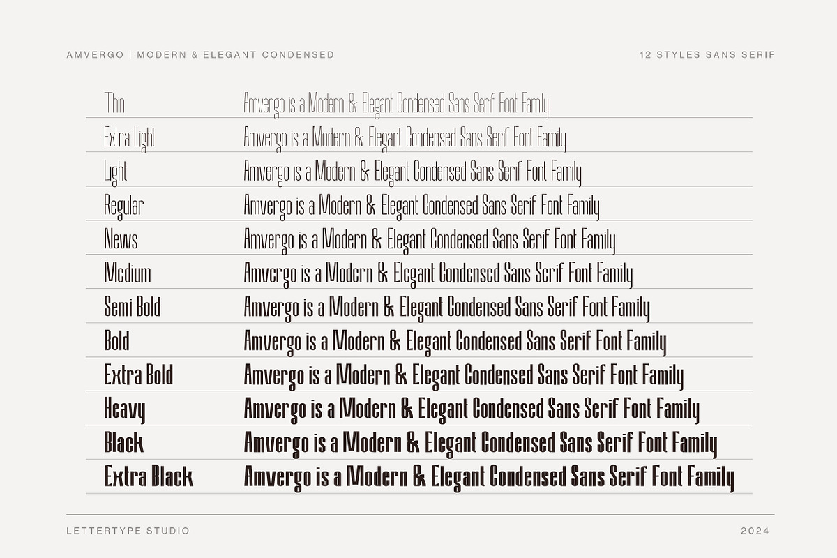 Amvergo Modern Sans Family, a Sans Serif Font by Lettertype Studio (Photo 3 of 18)