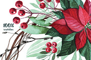 Watercolor Christmas flowers, a Decorative Illustration by YuliaBiser (Thumbnail 3 of 10)