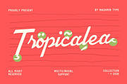Palmea Duo Font, a Script Font by maghrib (Thumbnail 2 of 6)