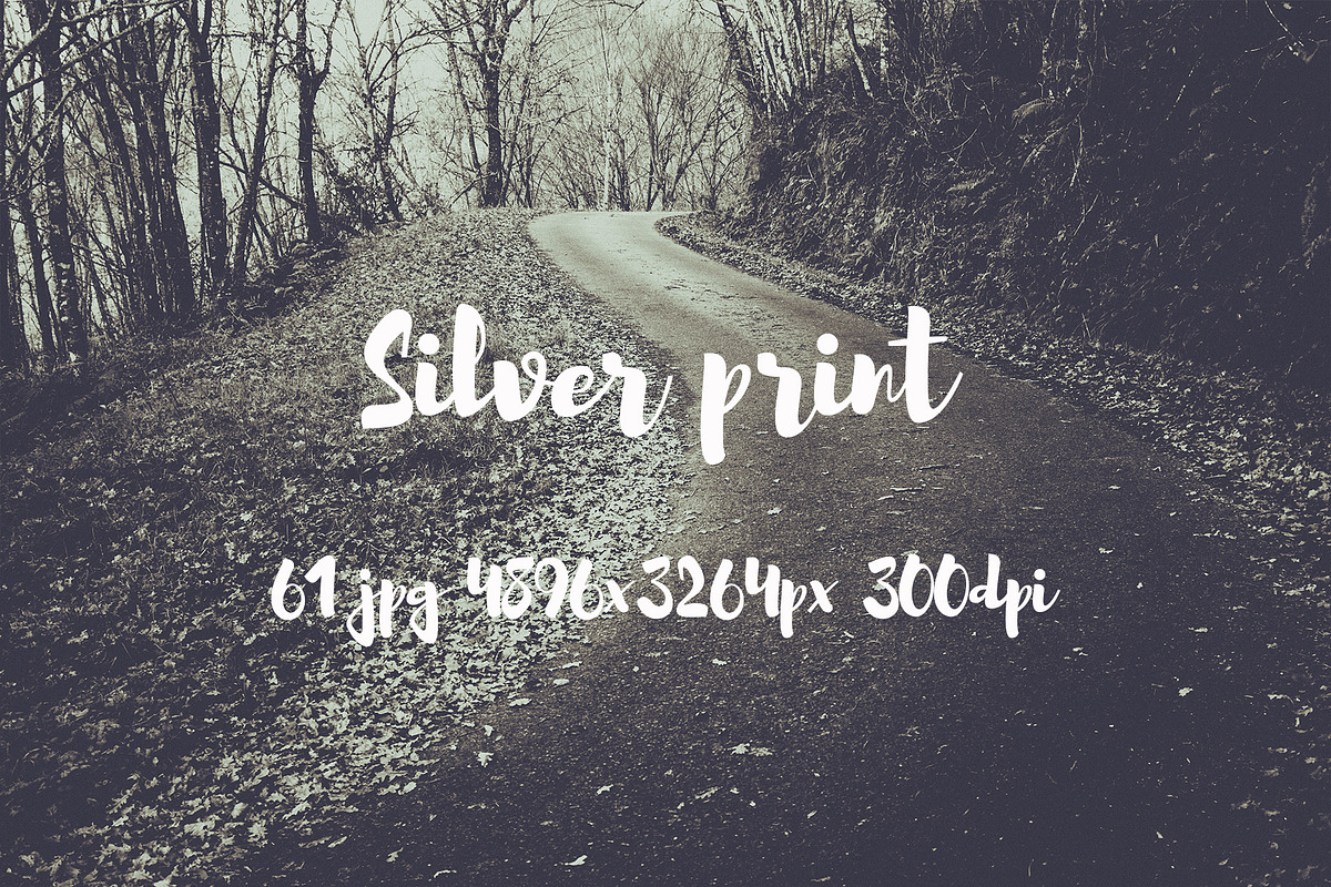 Silver print pack, a Templates & Theme by ApertureVintage (Photo 29 of 29)