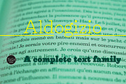 Aldogizio, a Serif Font by TeGeType foundry (Thumbnail 3 of 7)