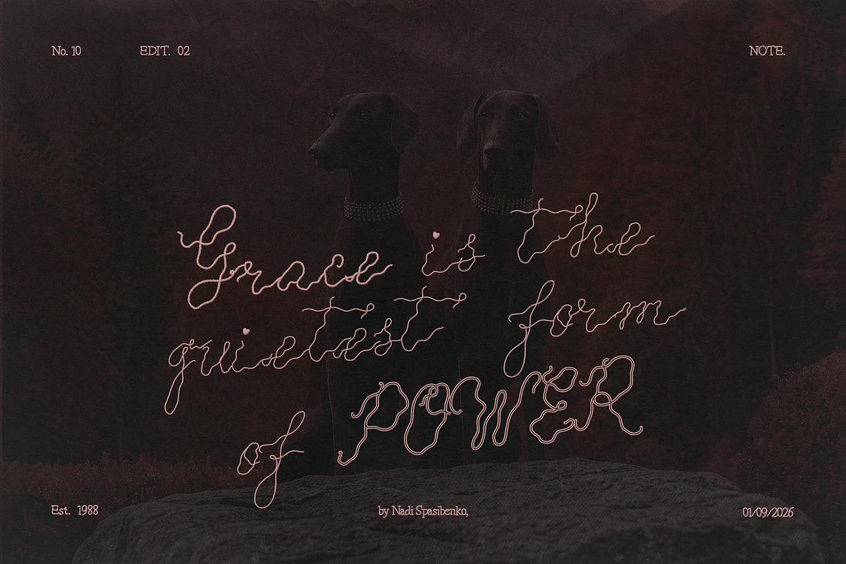 Soffio — Elegant Font Family, a Handwritten Font by nadispasibenko (Photo 3 of 9)