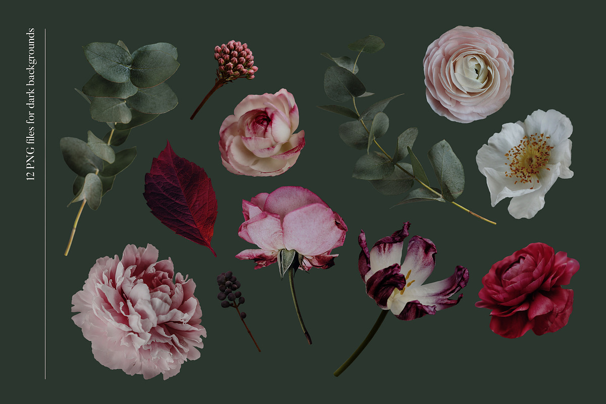 Isolated real flowers clipart set, an Object Graphic by The Graphic Parade (Photo 5 of 14)