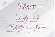 Elista // A Casual Handwritten Font, a Script Font by Walkeren (Thumbnail 13 of 18)