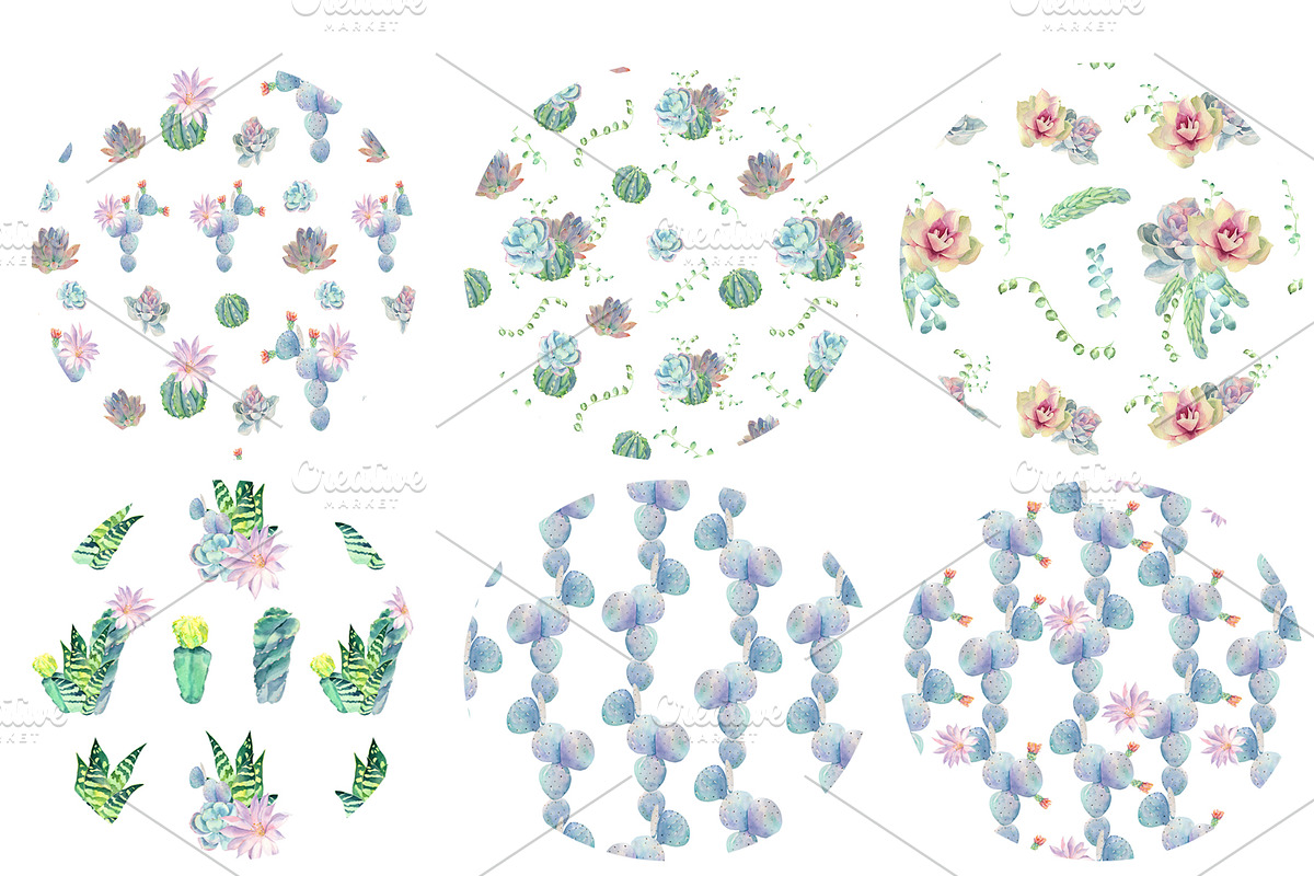 Watercolor cacti and succulents, an Illustration by Watercolor arts (Photo 6 of 6)