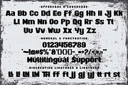 Palmer Springs | Retro Sans Serif, a Sans Serif Font by Aveni Letter Type (Thumbnail 9 of 12)