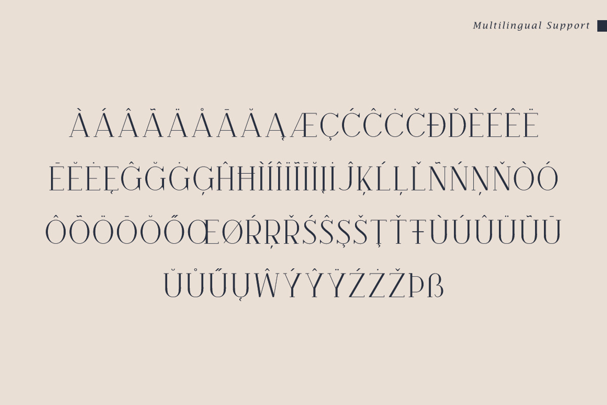 Brooke Minimalist Serif Font, a Serif Font by Heinzel Std (Photo 12 of 13)