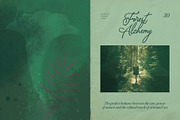 Mystical Botanical Backgrounds, a Background Graphic by Elena Pimonova (Thumbnail 6 of 10)