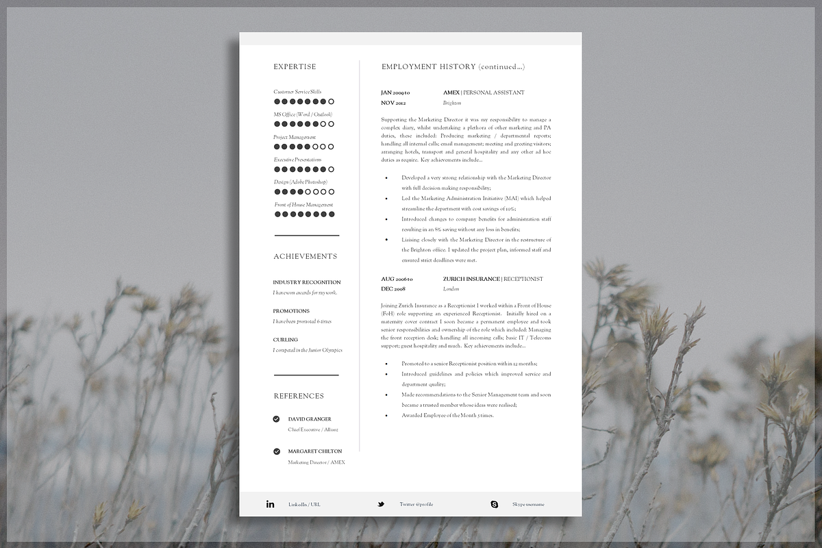 Professional Resume Template, a Resume Template by introDuice - CV / Resumes (Photo 2 of 7)