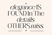 Brewligh District Modern Serif, a Serif Font by AmorfaType (Thumbnail 2 of 8)