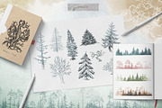 Misty Forest Collection, an Animal Illustration by Michael Rayback Design (Thumbnail 3 of 7)
