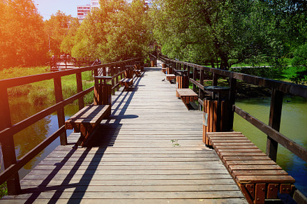 Park bridge during summertime landscape background, an Architecture Photo by RETROWAVE '88