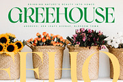 Moves Cabse Modern Display Serif, a Serif Font by timelesstype.co (Thumbnail 5 of 20)