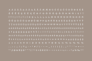 Chronique, a Serif Font by Haus Type (Thumbnail 7 of 7)