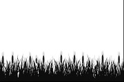 Harvest Wheat Border Designs, an Illustration by Creativeshirt (Thumbnail 4 of 9)