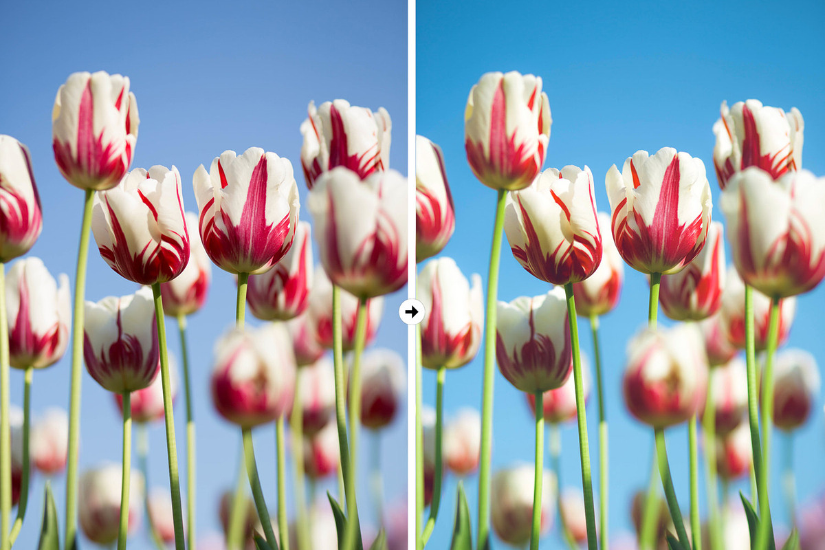 9 Nature Lightroom Presets, an Action Add-On by M E G A S E T S (Photo 5 of 5)
