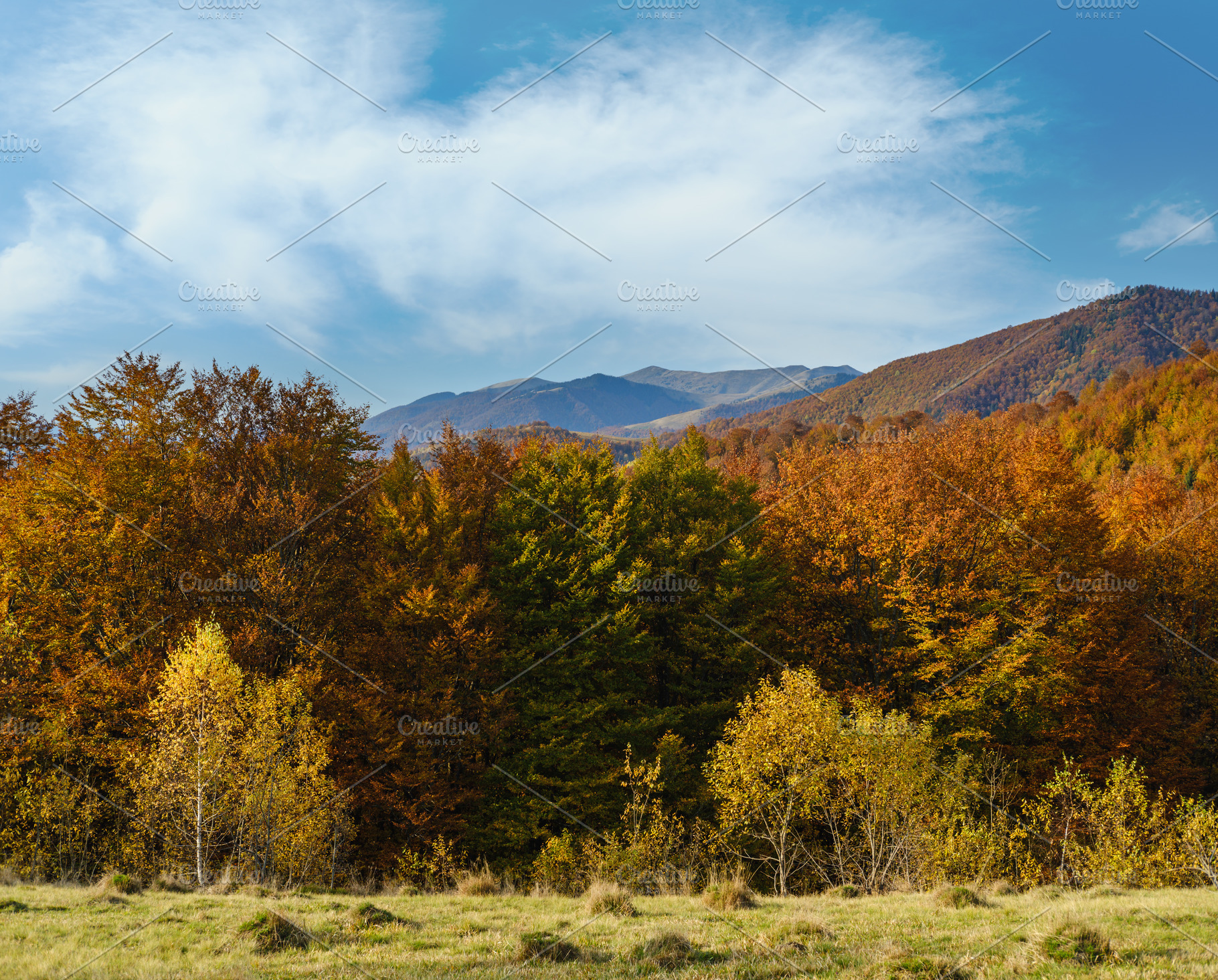 Autumn morning Carpathian Mountains calm picturesque scene, Ukra, a Nature Photo by YuriyB