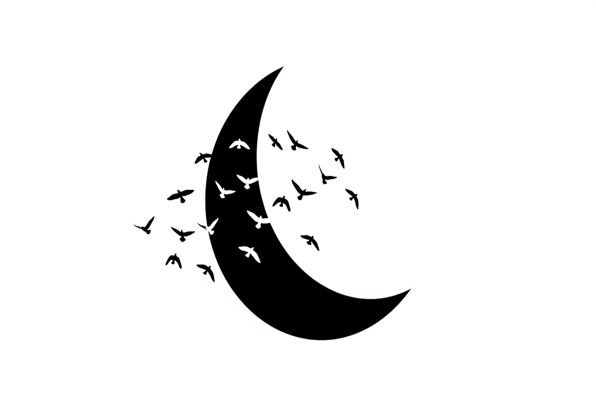 Flying Birds Moon SVG Bundle, an Illustration by yasushie (Photo 30 of 31)