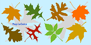 MapleOaks, a Symbol Font by Ingrimayne Type (Thumbnail 5 of 5)