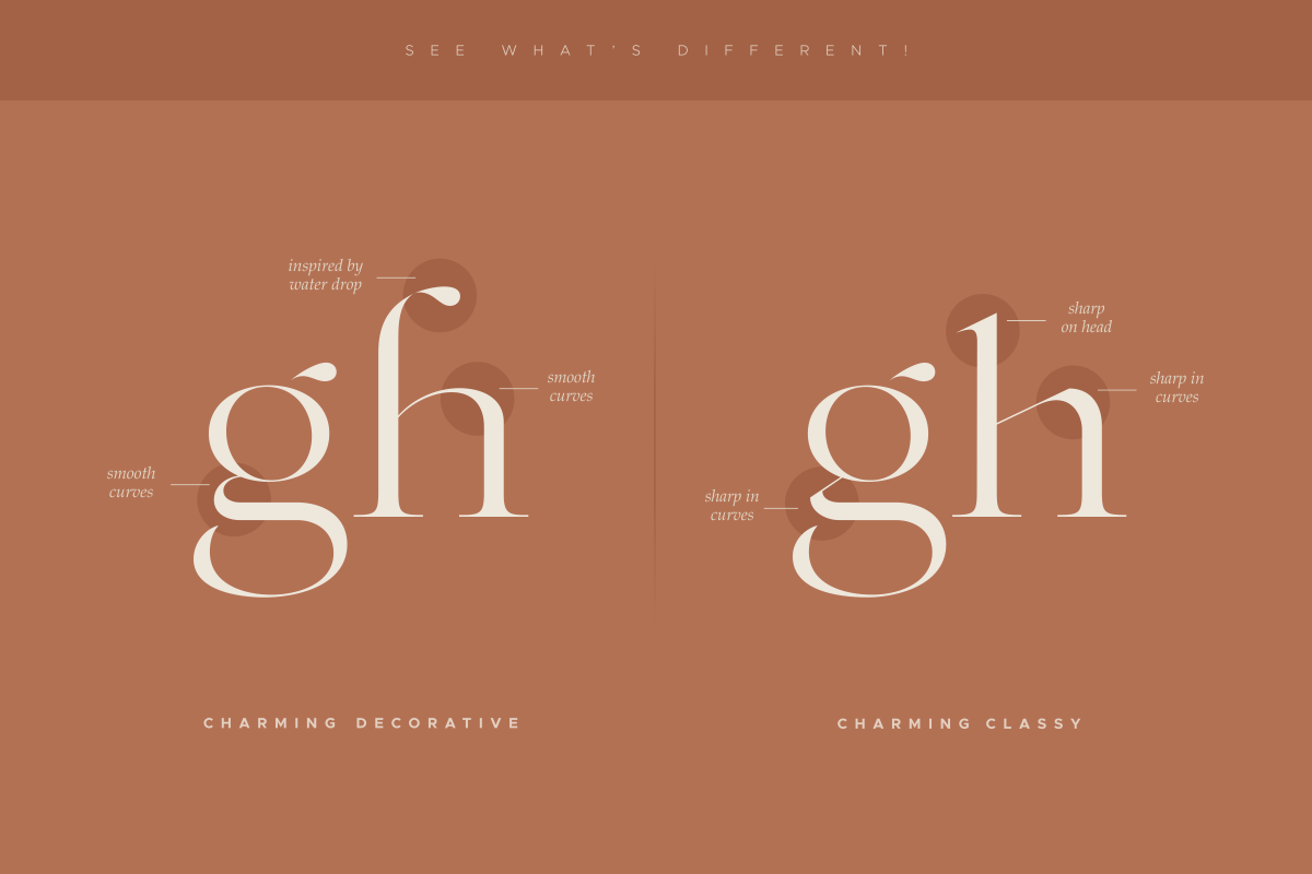Charming - Classy & Decorative Font, a Serif Font by Sensatype (Photo 8 of 21)