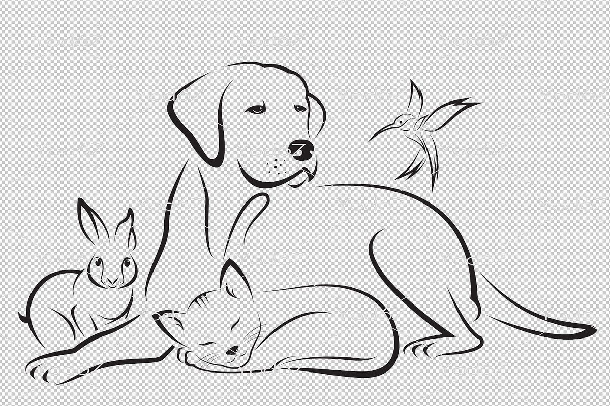 Vector group of pets. Animals. preview 2