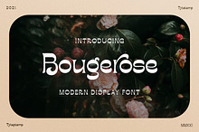 Bougerose a Modern Display Font