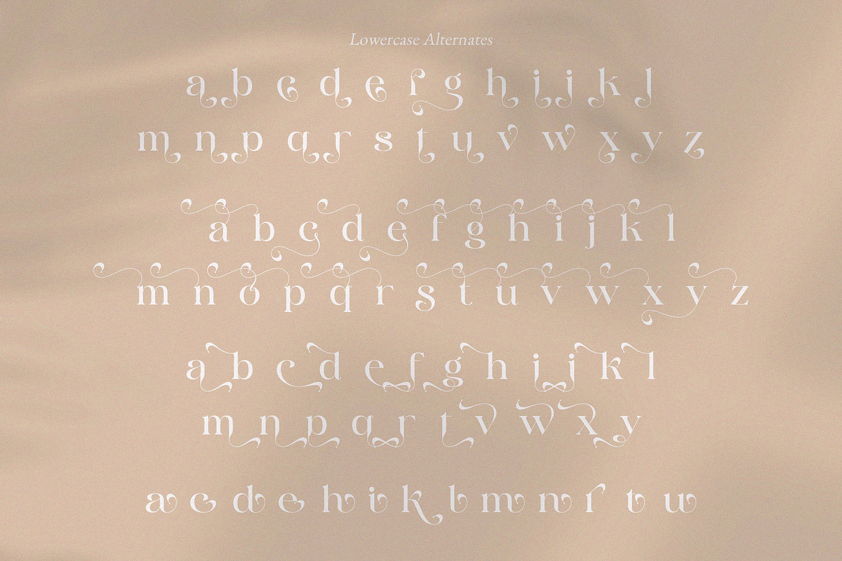 Cangkem || Elegant Display Serif, a Serif Font by BrandSemut (Photo 19 of 20)