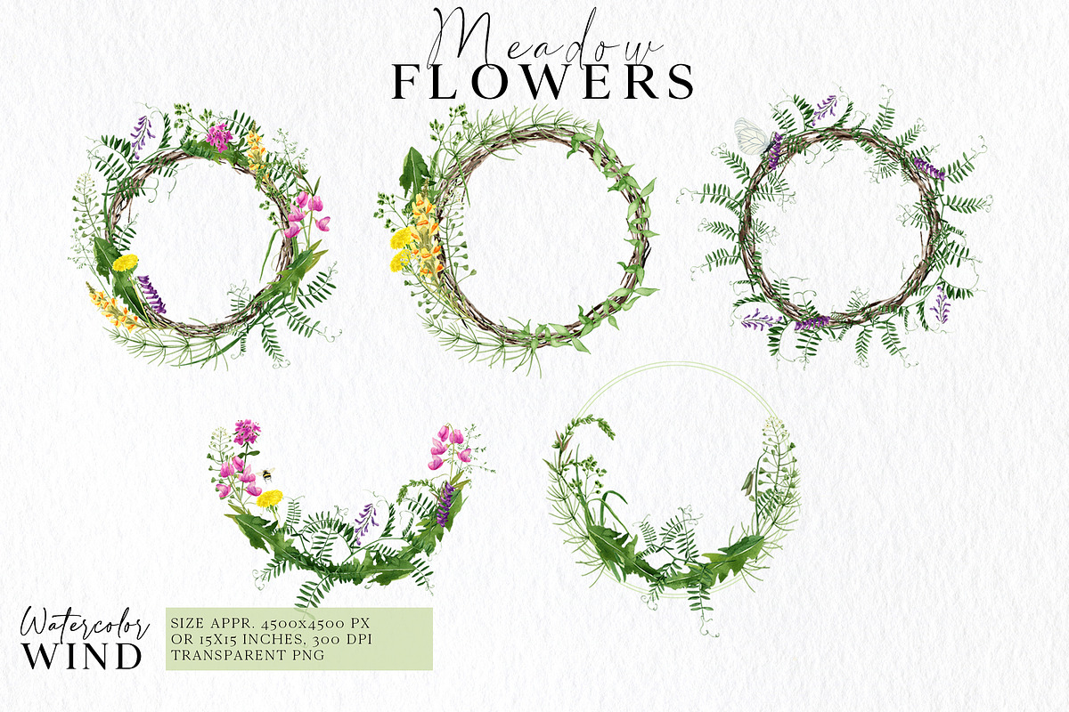 Wild floral clipart meadow flowers, an Illustration by Ksenia Shmakova (Photo 4 of 11)