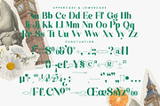 Kinsley Angels Modern Alternatate, a Serif Font by timelesstype.co (Thumbnail 18 of 20)