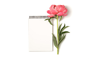 Minimal styled stock mockup photo containing notebook, minimal, and mockup