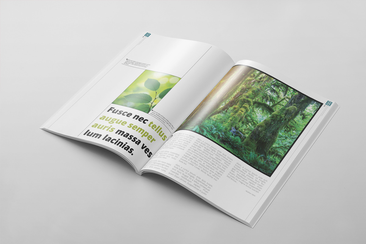 Magazine Template 29, a Magazine Template by pmvch (Photo 3 of 10)