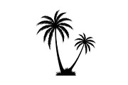 Tropical Palm Tree Bundle, an Illustration by BIPLOB EXPERT (Thumbnail 11 of 21)