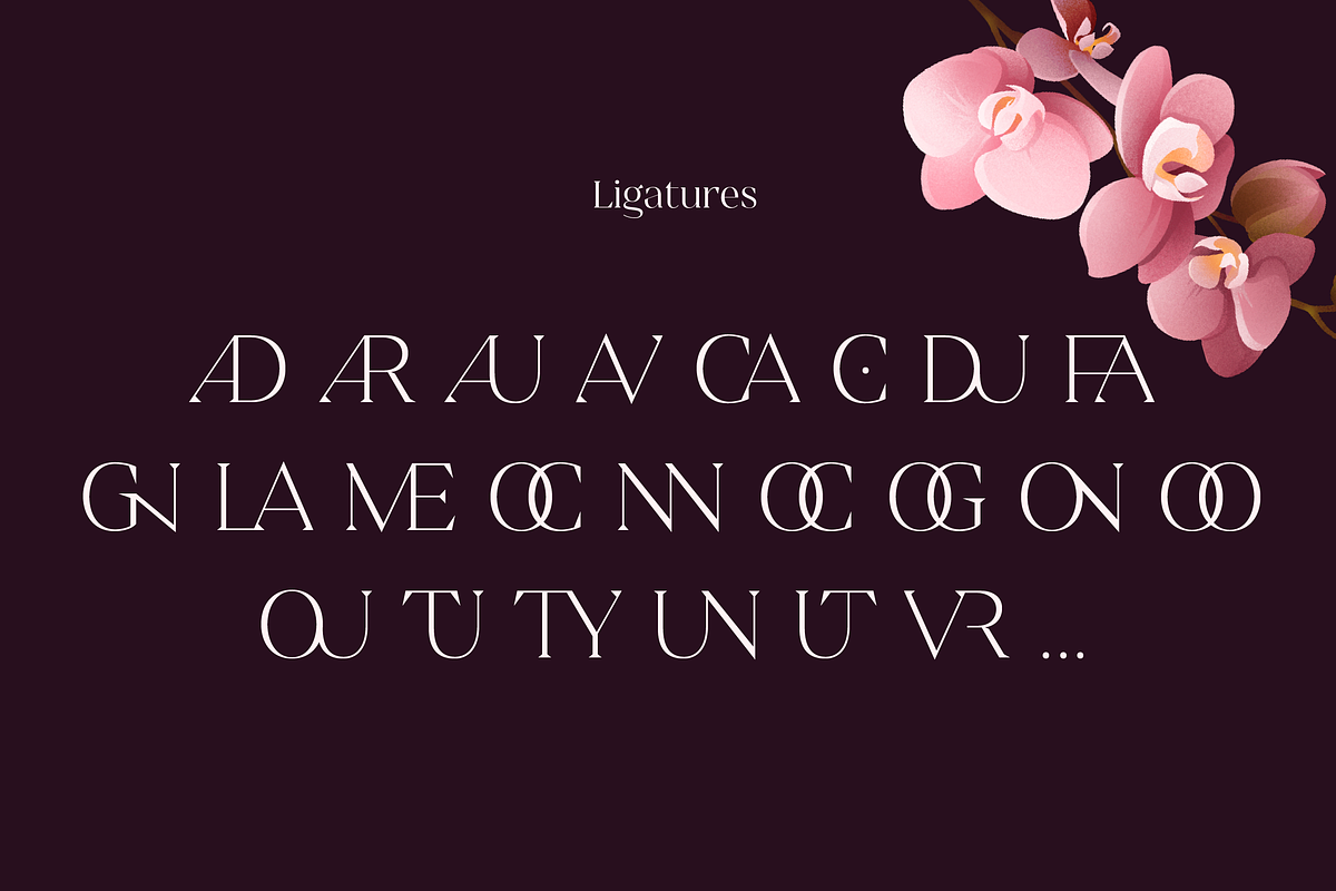 Sincerity Extra Bold, a Serif Font by OceaneM (Photo 2 of 6)