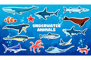 Cartoon underwater animals, an Animal Illustration by Vector Tradition