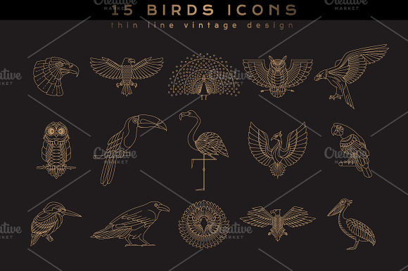 15 Bird Icons