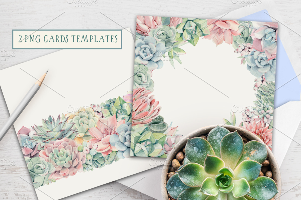 AMAZING SUCCULENTS Watercolor set, an Illustration by Lemaris (Photo 6 of 9)