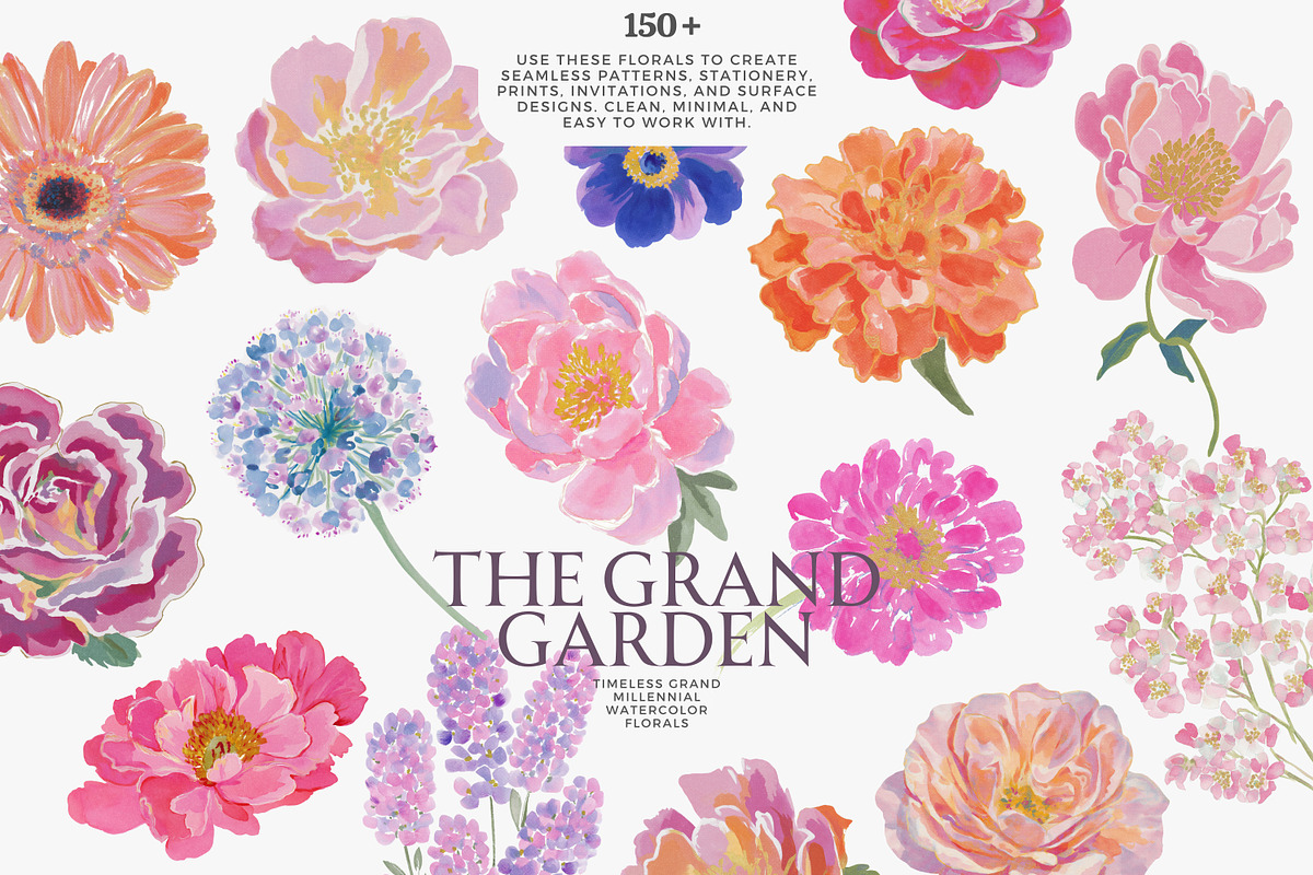 watercolor floral clipart bundle, a Decorative Illustration by Patishop Art (Photo 1 of 9)