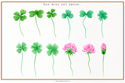 Watercolor Lucky Clover Clipart, a Decorative Illustration by Blumensdiary (Thumbnail 3 of 7)