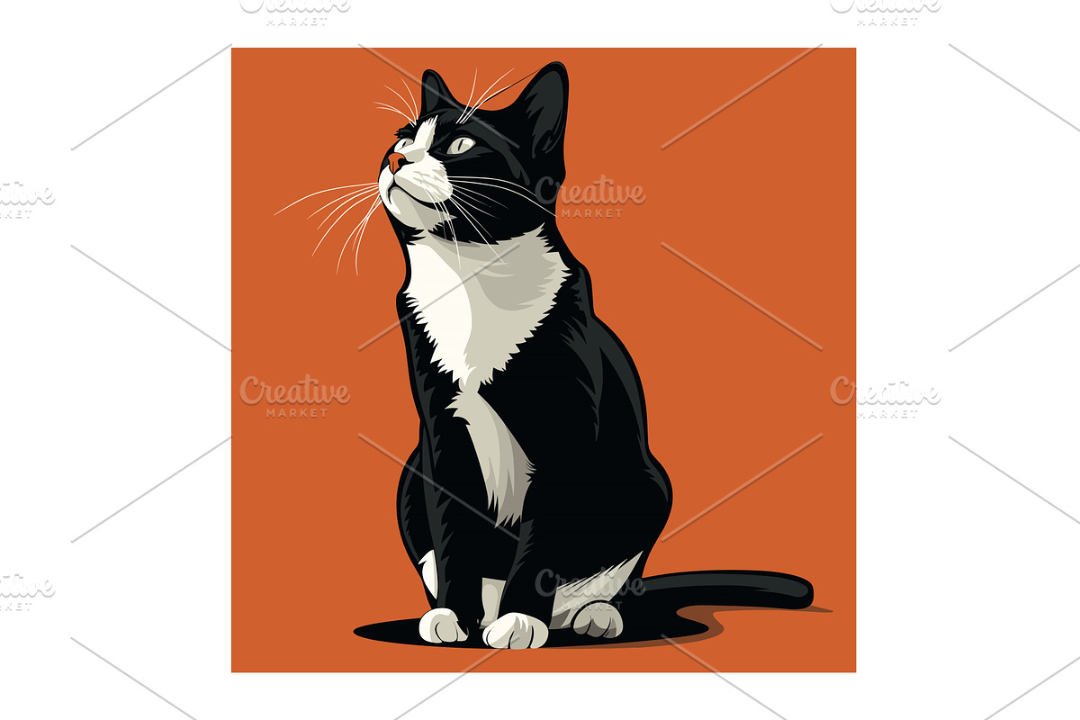Black white tuxedo cat looking up, an Animal Illustration by Vectorstockersland