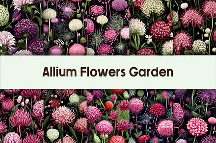 Allium Flowers Garden Background, a Background Graphic by AdriOP