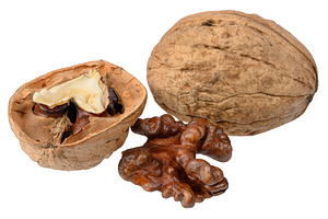 A set of walnuts, including a whole walnut in its shell, a split, a Food & Drink Photo by ndanko