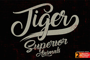 Tiger - Vector illustration, an Animal Illustration by Artistic & Unique (Thumbnail 3 of 10)