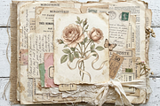 Vintage Rose Botanical Illustrations, a Decorative Illustration by youtoview (Thumbnail 9 of 20)