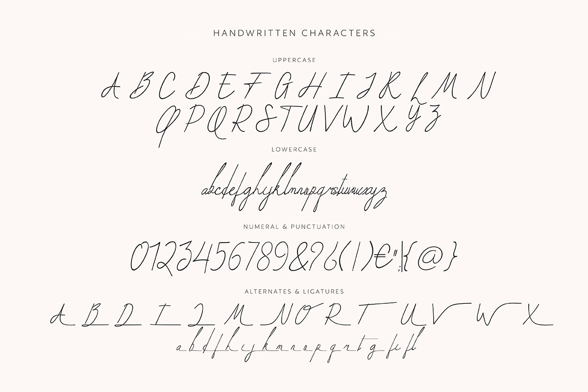 Creme Bagels | Font Duo, a Serif Font by ClevUs (Photo 12 of 13)