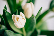 Office styled stock photo bundle | 5 stock photo containing social media and, a Business Photo by Brand Strategy Co. (Thumbnail 4 of 6)