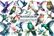 Watercolor Hummingbird Clipart, an Illustration by Rose Art (Thumbnail 1 of 4)