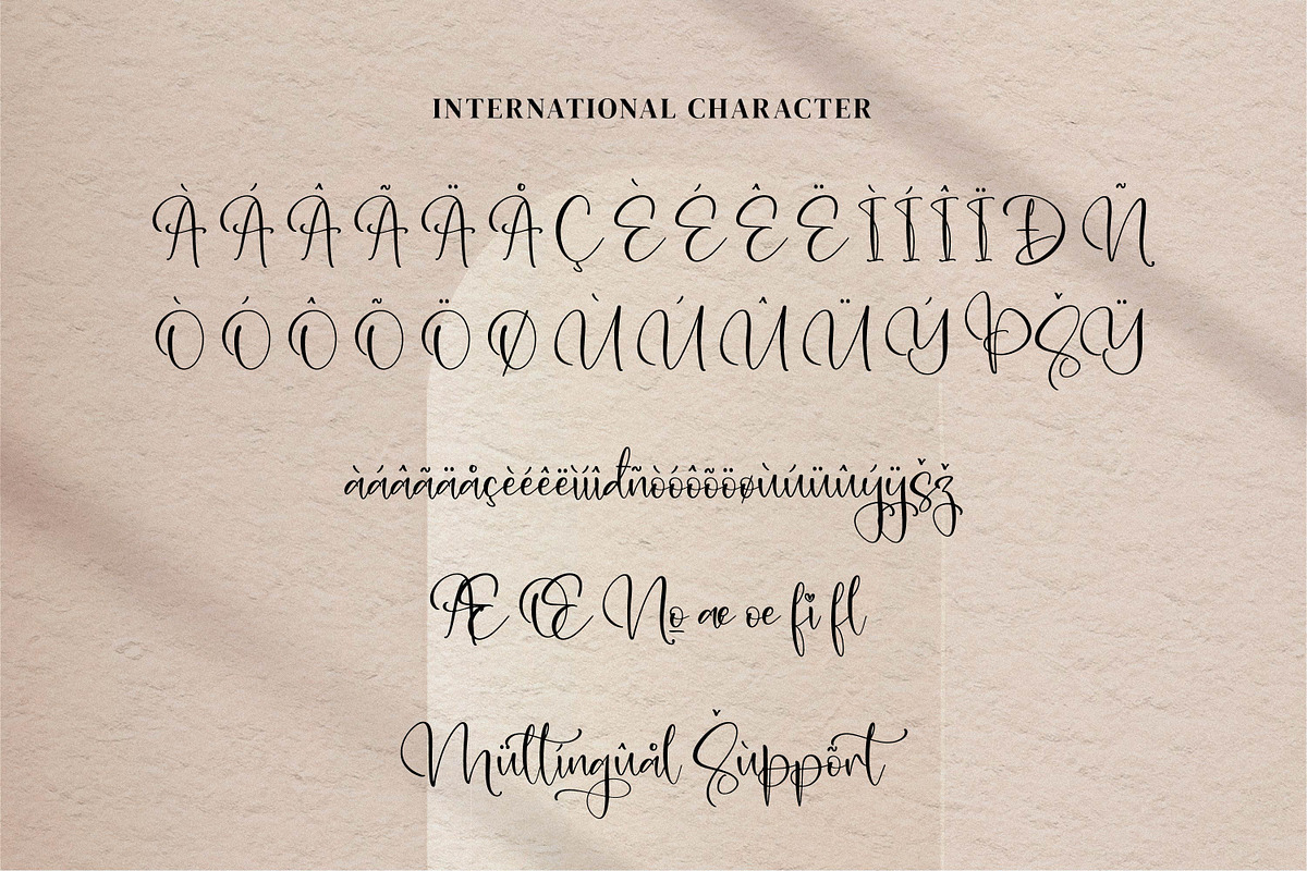 Aleani, a Script Font by Integritype Studio (Photo 11 of 15)